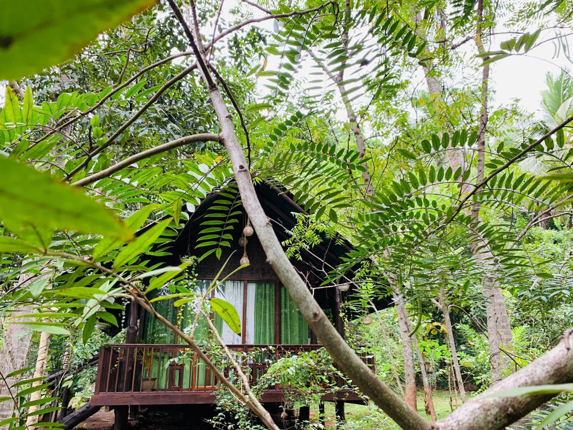 Nature World Udawalawe Szoba fotó